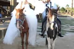 thumbnail_IMG_0684