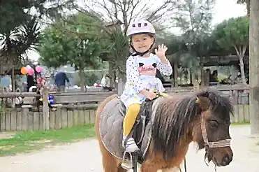 pony club