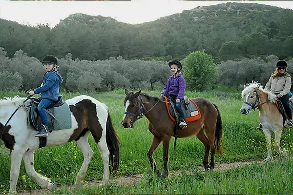 atla gezinti